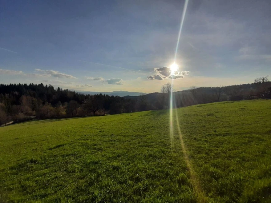pa&scaron;njak
