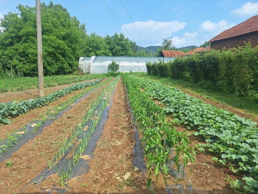 ba&scaron;ta na ptvorenom
