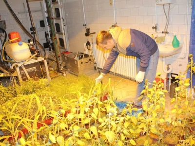 Precizna poljoprivreda – nov smer na Poljoprivrednom fakultetu