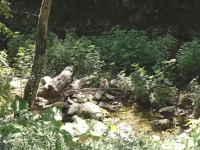 Prestala da radi Draganova vodenica