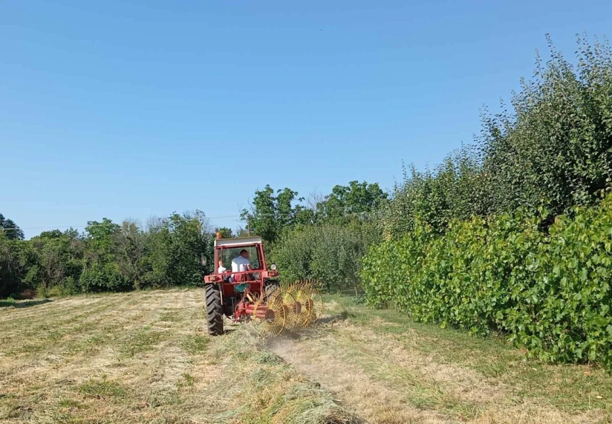 Prevrtanje lucerke
