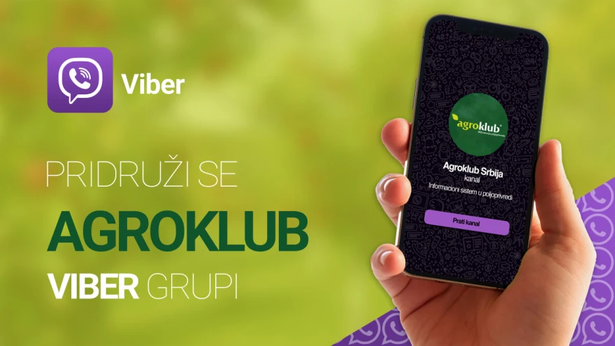 Grupa vizual