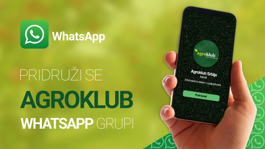Grupa vizual