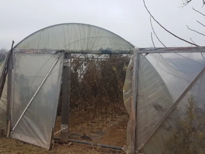 PRIPREMA PLASTENIKA ZA ZIMU I PROLEĆNU SADNJU
