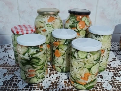 Priprema zimnice