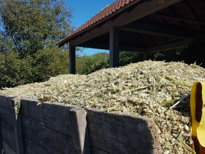PRIPREME ZA SILAŽU KUKURUZA U TOKU