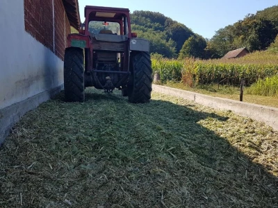 PRIPREME ZA SILAŽU KUKURUZA U TOKU