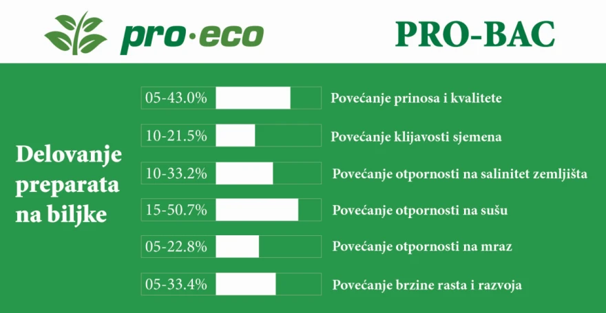 pro-bac-rs