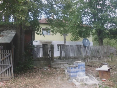 Profesorka ruskog u potrazi za najjednostavnijim načinom proizvodnje povrća