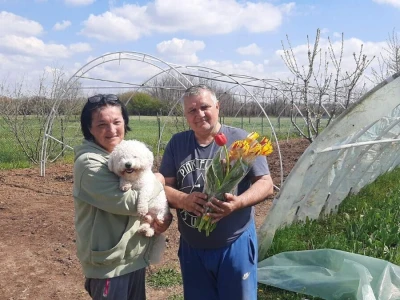 Proizvodnja lala može biti veoma unosna, foto: M. Lazarević