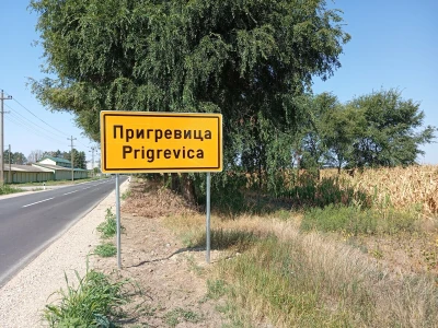 Proizvodnja paprike, Dejan Čule