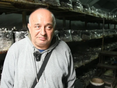 Proizvodnja šampinjona u Ugrinovcima