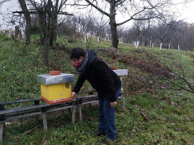 Propolis i Imuno za jačanje organizma