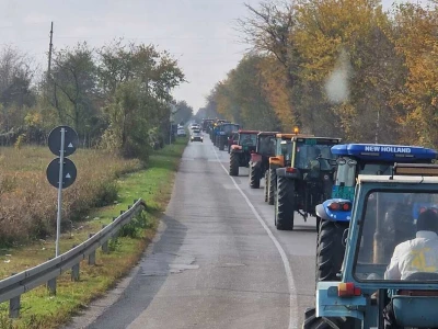 Protest Stig, Požarevac