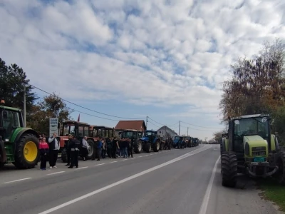 Protest Stig, Požarevac