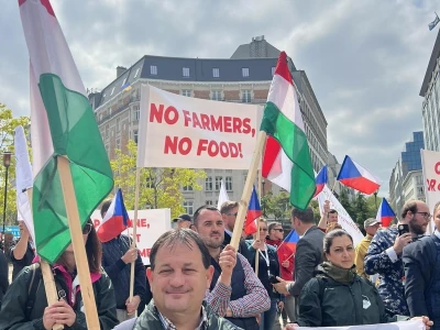 Protest u Bruxellesu