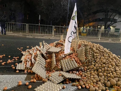 Protesti u Poljskoj
