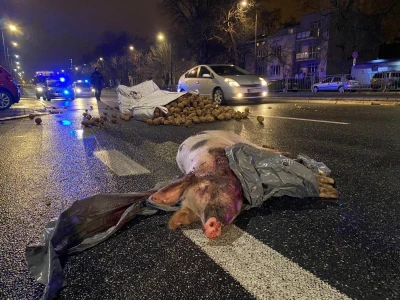 Protesti u Poljskoj