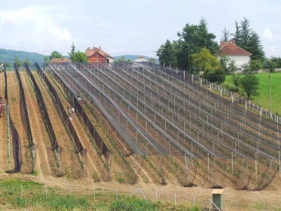 Protivgradna mreža u Gruži