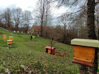 Prvi pčelarski park u BiH, jedinstven i u Europi