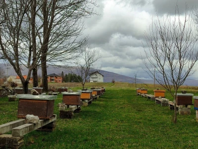 Prvi pčelarski park u BiH, jedinstven i u Europi