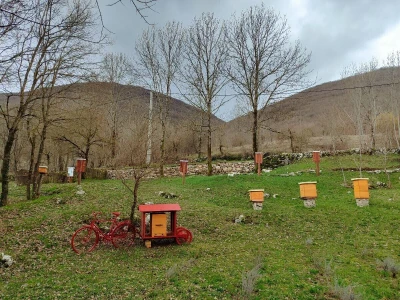 Prvi pčelarski park u BiH, jedinstven i u Europi