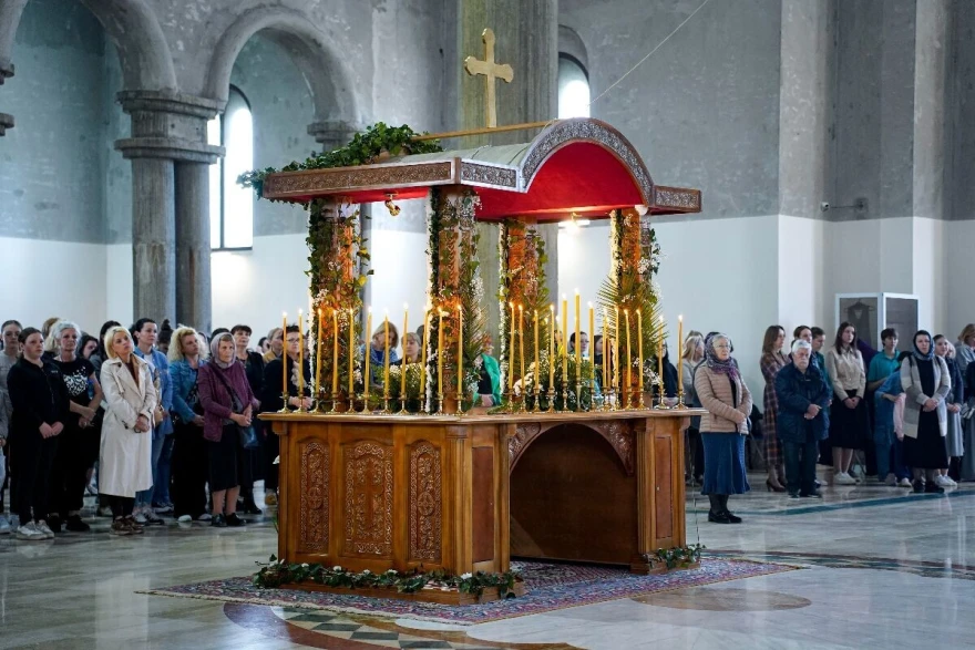 sto sa pla&scaron;tanicom