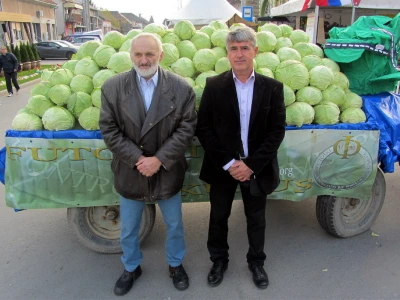 Goran Puača i Miroljub Janković, "Futoški kupus"