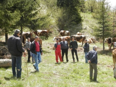 Rabadžije