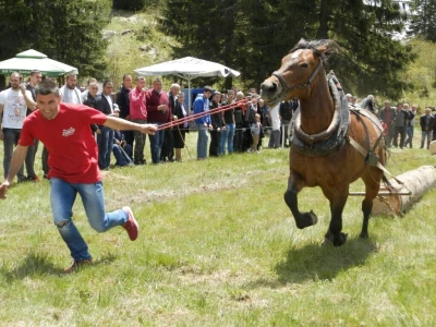Rabadžije