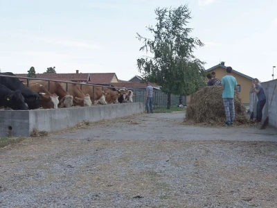 Rad na ekonomiji, deo stručne prakse za učenike Poljoprivredne škole u Valjevu