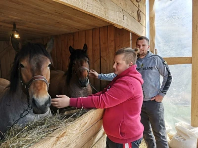 Radni konji kao atrakcija
