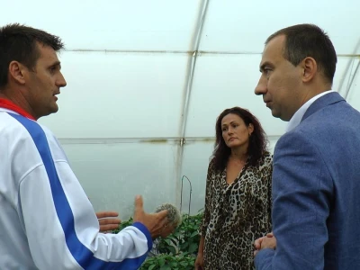 radojevic u sremu