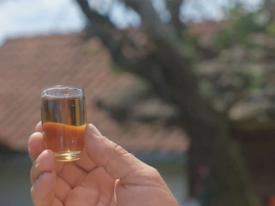 Rakija mora da "odleži"