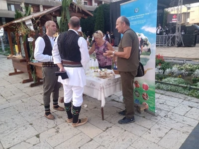 Rakija postaje piće za džet-set