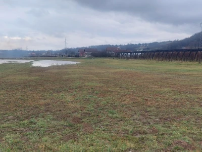 Ranije kretanje vegetacije