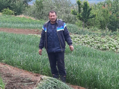 Rasad spreman za prodaju