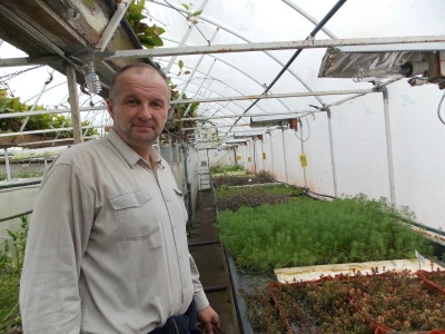 Rasadnik akvarijumskih biljaka u Somboru