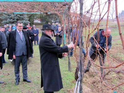 Sv. Trifun proslavljen u Sremskim Karlovcima