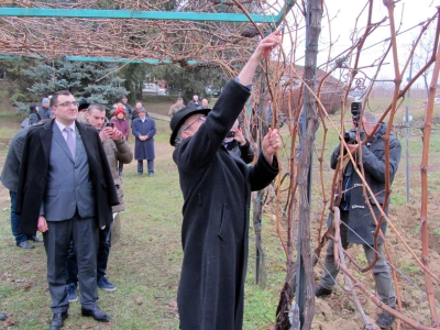 Sv. Trifun proslavljen u Sremskim Karlovcima