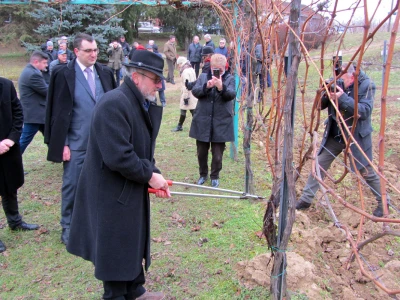 Sv. Trifun proslavljen u Sremskim Karlovcima
