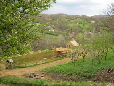 Ribnjak