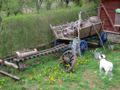 Ribnjak