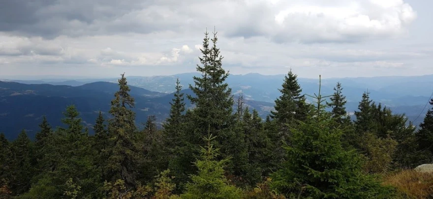 Rudno