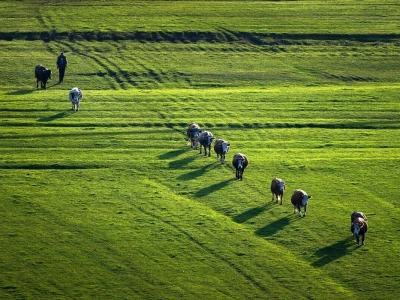 RuralFoto 2026 - Top 10 proizvodnja