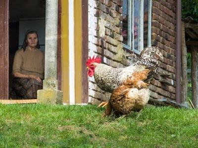 RuralFoto 2026 - Top 10 selo