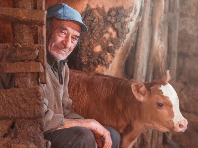 RuralFoto 2026 - Top 10 selo