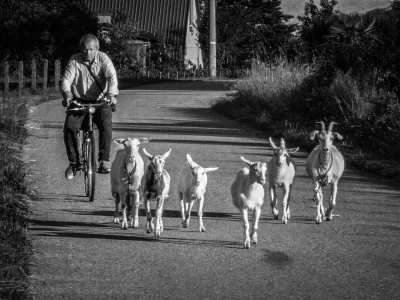 RuralFoto 2026 - Top 10 selo