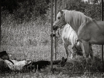 RuralFoto 2026 - Top 10 selo