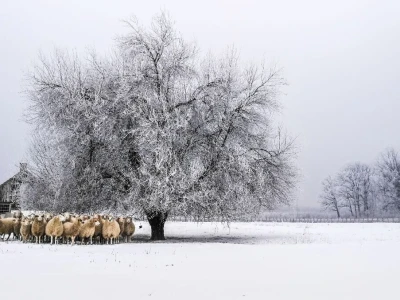 RuralFoto: Najboljih 10 #Priroda